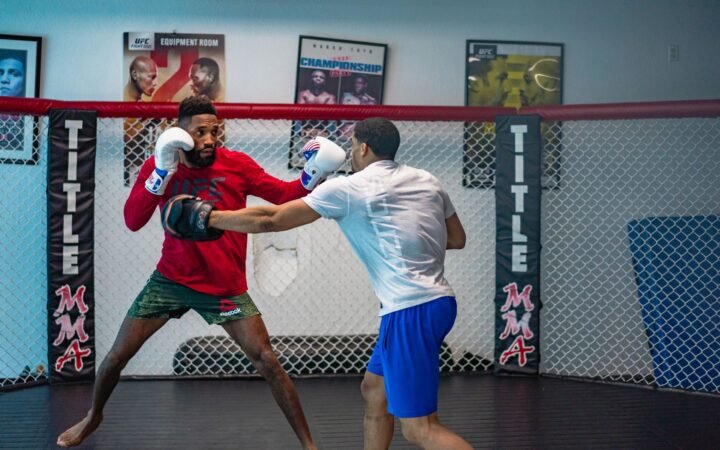 Ufc Middleweight Champion