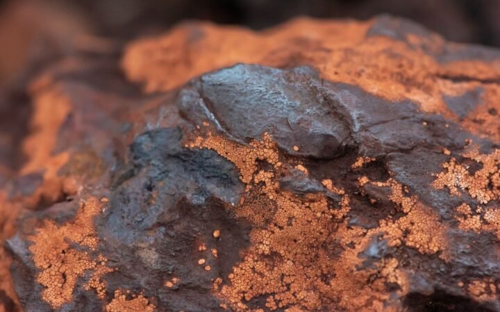 New Jersey Meteorite Organic Molecules