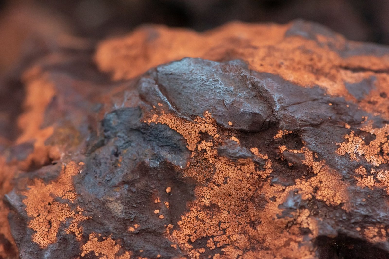 New Jersey Meteorite Organic Molecules